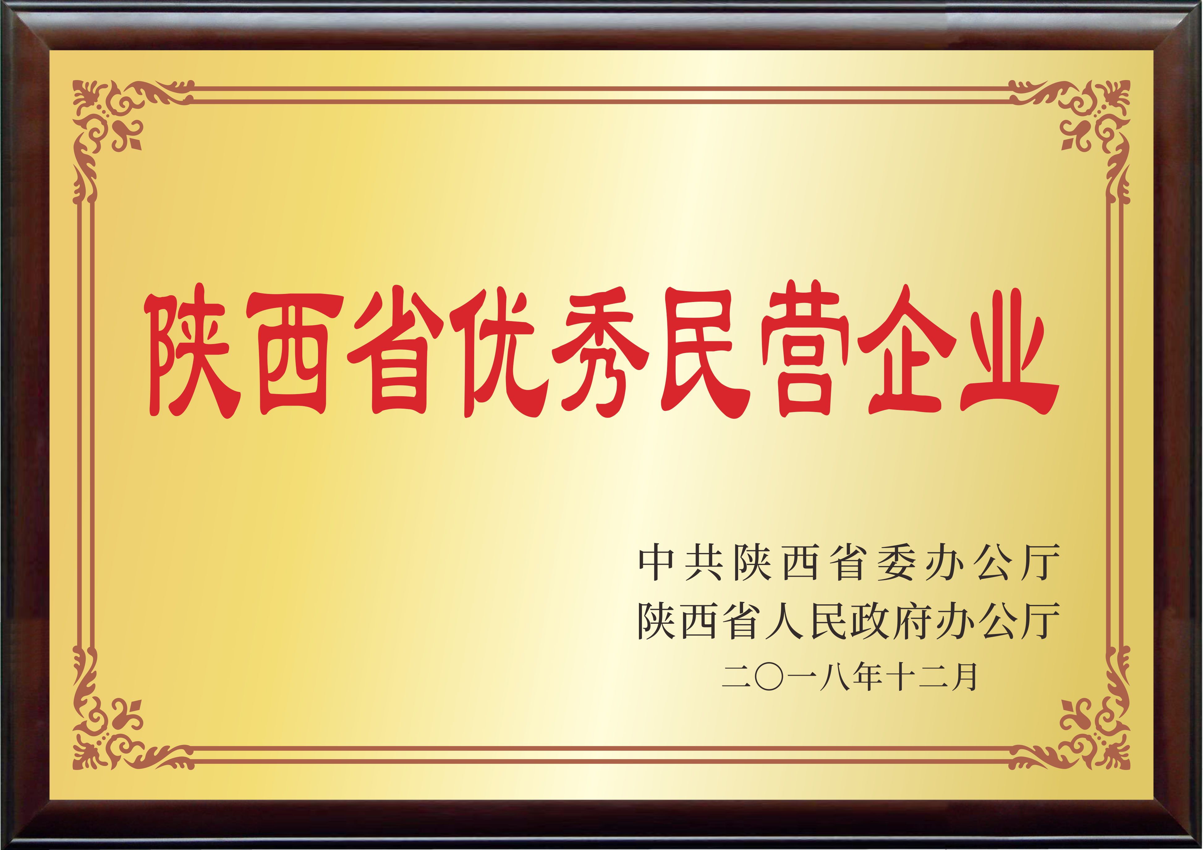 陕西省优秀民营企业
